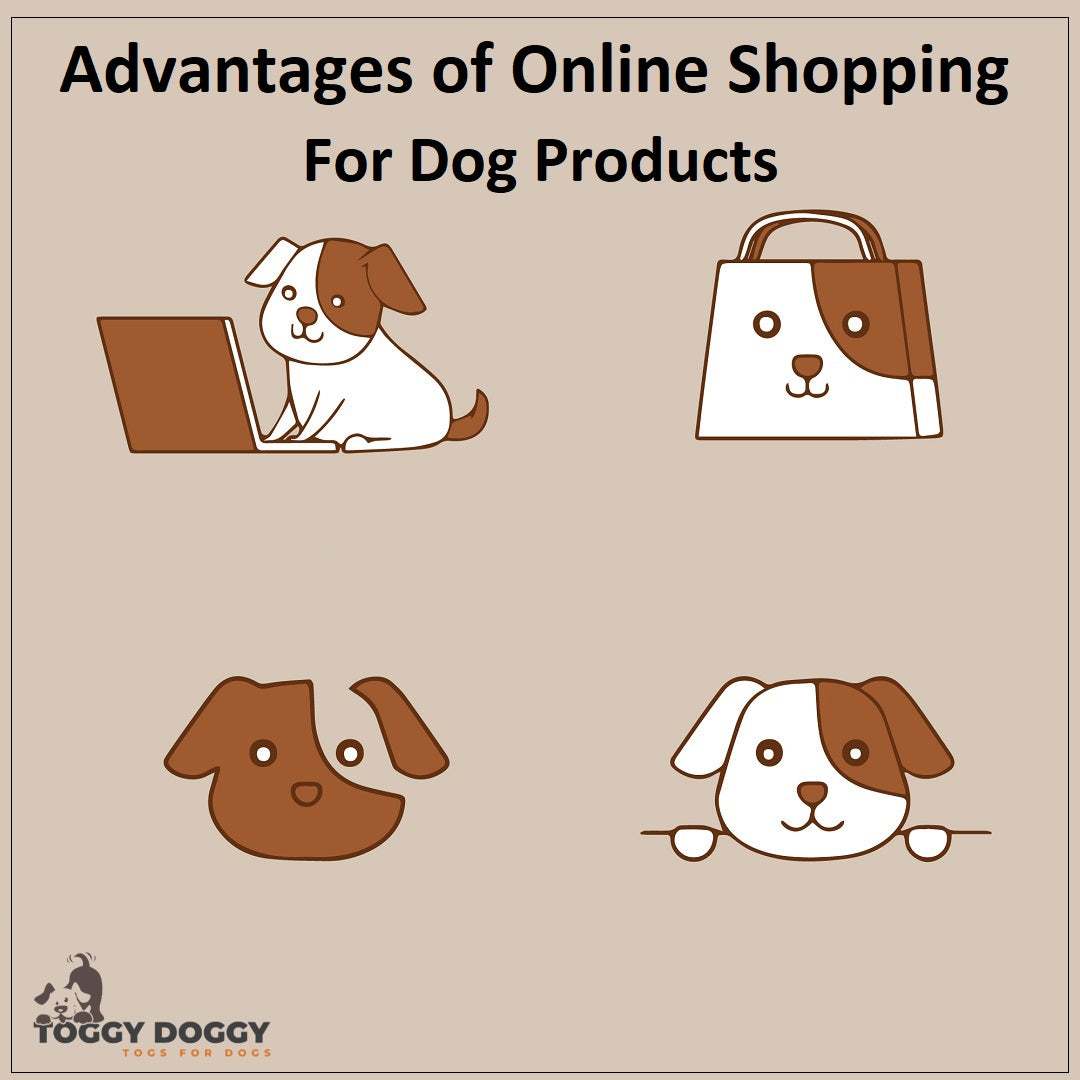Advantages of Online Shopping For Dog Products