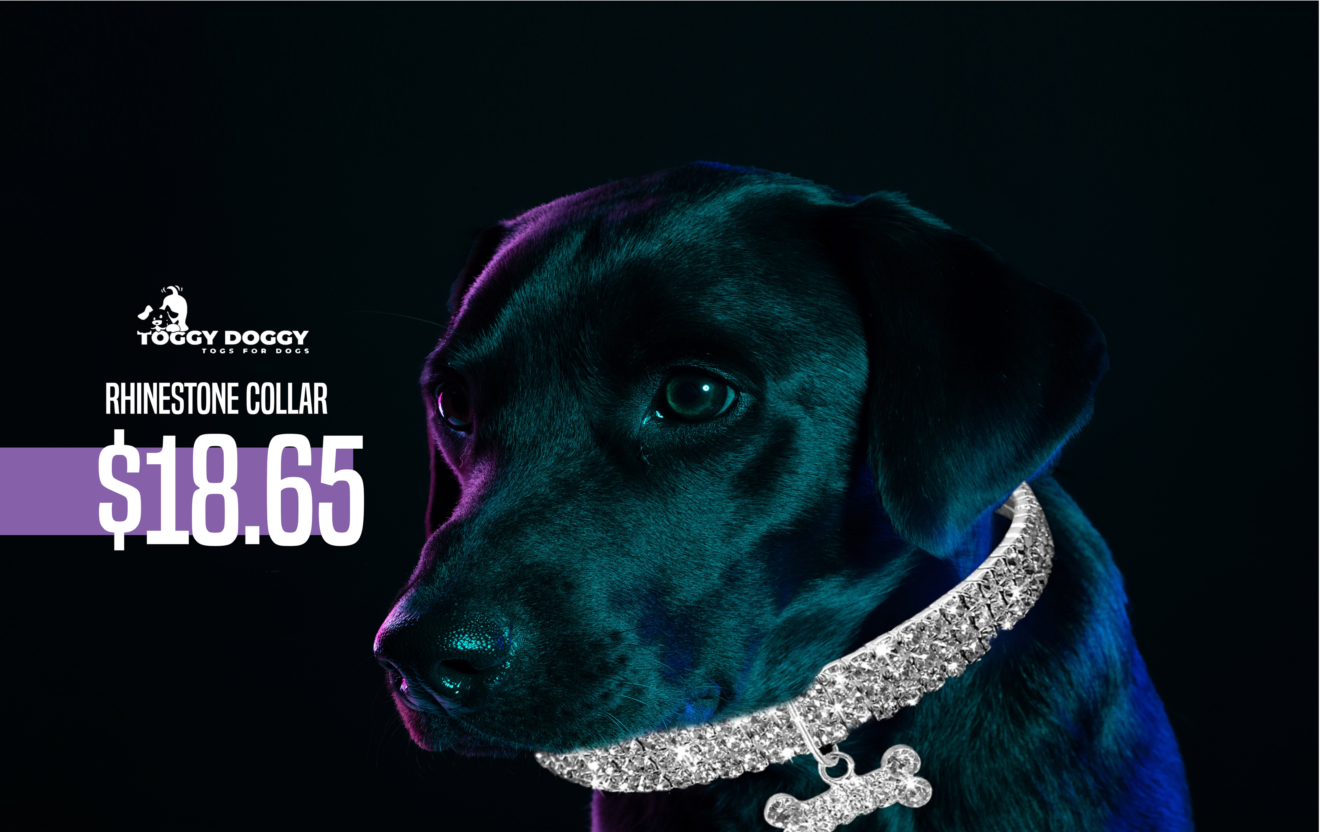 Dog Apparel and Accessories Shop, Get Exclusive Dog Supplies Now