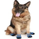 Load image into Gallery viewer, A Dog Wearing The Blue Air Mesh Shoes
