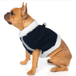 Load image into Gallery viewer, A Dog Wearing A Blue Fleece Dog Harness &amp; Leash Set
