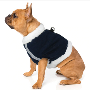 A Dog Wearing A Blue Fleece Dog Harness & Leash Set