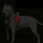 Load image into Gallery viewer, Reflective Safety Feature of the Heavy Duty Padded Dog Harness
