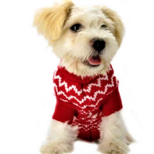 A Dog Wearing The Warm Red Christmas Dog Sweater