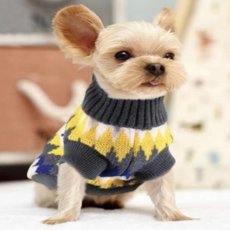 Dog wearing a stretchy dog sweater that has a pretty jagged multicolored design of gray, white, yellow, and blue alternately.