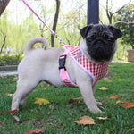 Load image into Gallery viewer, A Dog Wearing A Pink Plaid Dog Harness &amp; Leash Set
