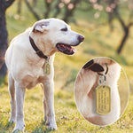 Load image into Gallery viewer, A Dog Wearing A Solid Metal Military Style Bronze Dog Tag
