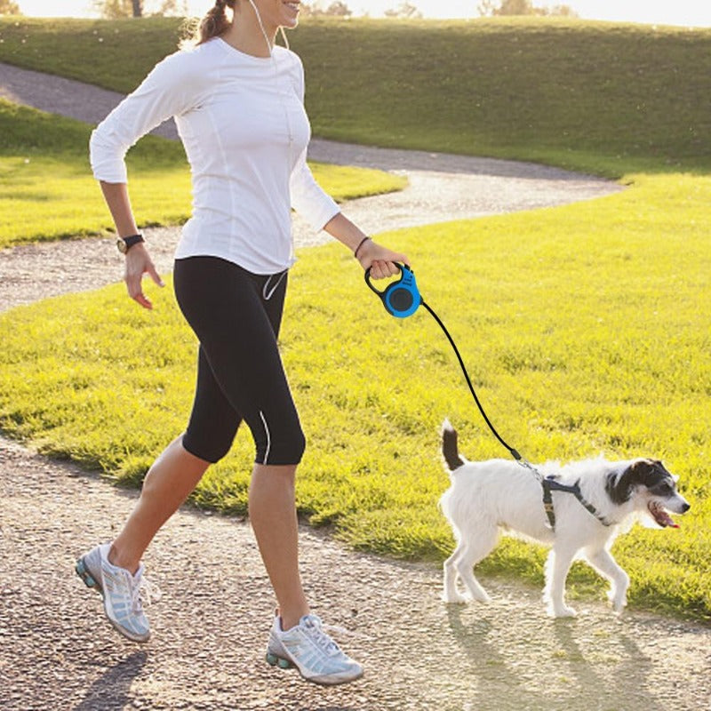 A Woman Walking A Dog With A Retractable Dog Leash