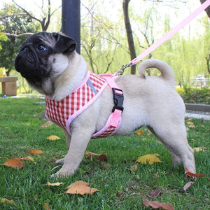 A Dog Wearing a Pink Plaid Harness & Leash Set