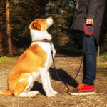 Load image into Gallery viewer, A Man With a Dog On A Retractable Dog Leash
