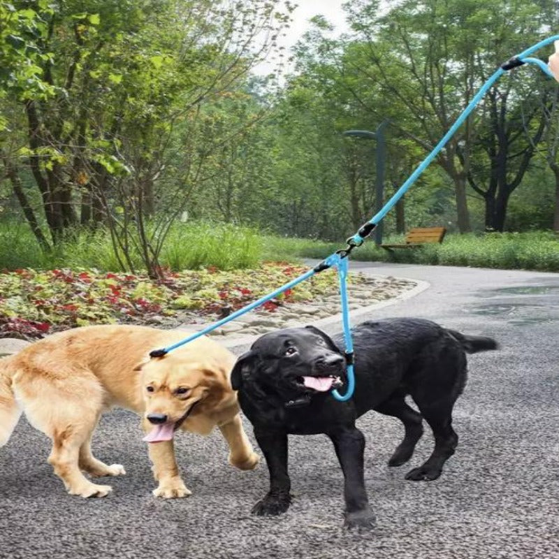 2 Dogs On A Toggy Doggy Blue Dual Dog Leash