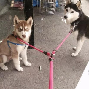 2 Dogs On A Toggy Doggy Red Dual Dog Leash