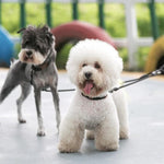 Load image into Gallery viewer, 2 Dogs On A Toggy Doggy Black Dual Dog Leash
