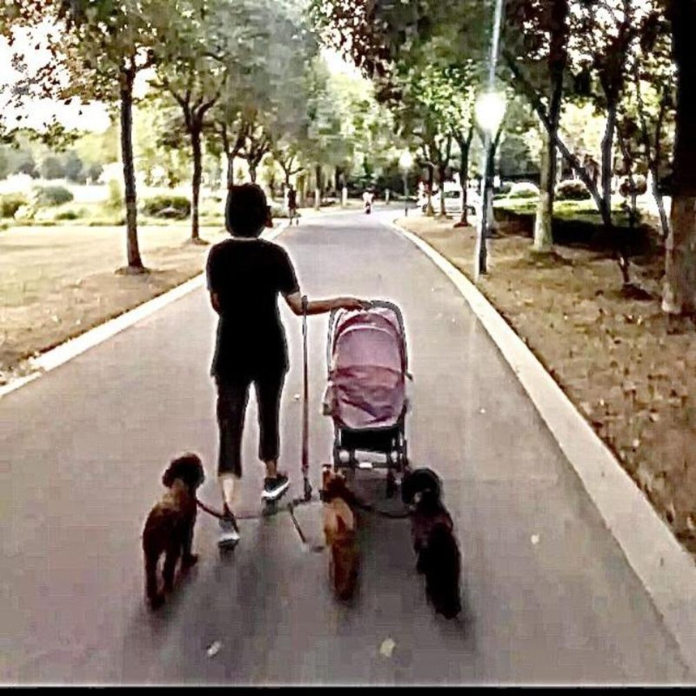 A Woman With a Baby Stroller and 3 Dogs on a Detachable Triple Dog Leash