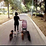 Load image into Gallery viewer, A Woman With a Baby Stroller and 3 Dogs on a Detachable Triple Dog Leash
