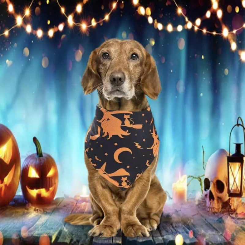 A Dog Wearing A Black Halloween Dog Scarf Bandana With Witches And Moons
