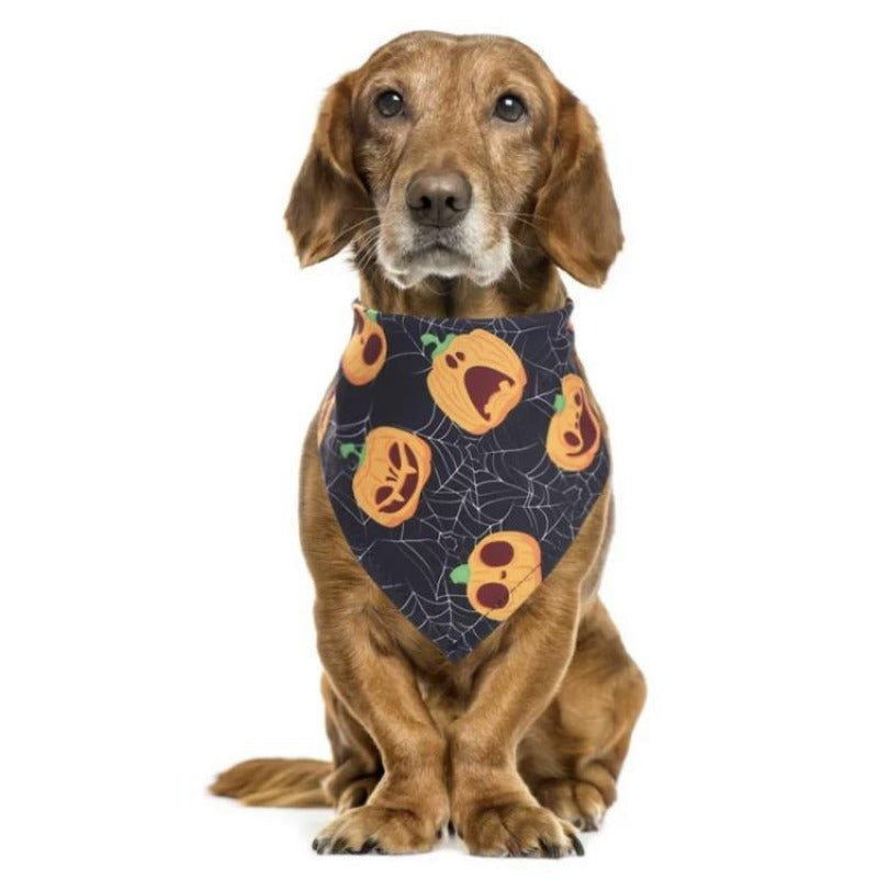 A Dog Wearing A Black Halloween Dog Scarf Bandana With Pumpkin Faces And Cobwebs 