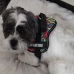 Load image into Gallery viewer, A Dog Wearing A Color Doodle Reflective Dog Vest Harness
