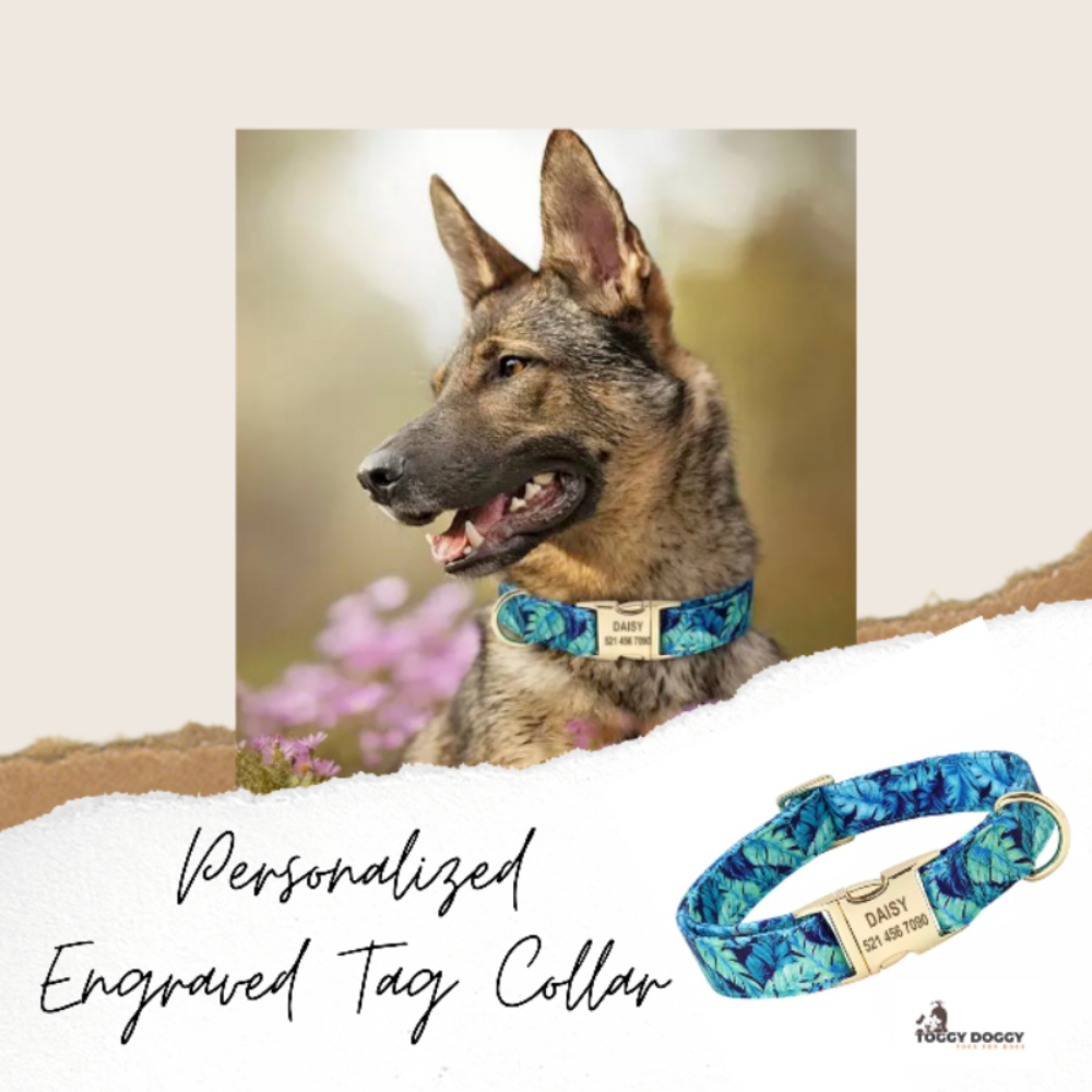 A Dog Wearing A Blue Floral Nylon Personalized Engraved Tag Dog Collar with Gold Plated Metal Buckle and D-Ring 
