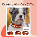 Load image into Gallery viewer, A dog wearing the Leather Rhinestone Collar with a pretty metal brick style decoration
