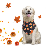 Load image into Gallery viewer, A Dog Wearing A Black Halloween Dog Scarf Bandana With Candy Corn
