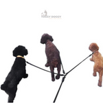 Load image into Gallery viewer, 3 Dogs Walking With A Black Detachable Triple Leash with Foam Handle
