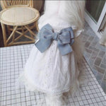 Load image into Gallery viewer, A Dog Wearing A Big Blue Bow On Eyelet Pattern Dog Dress

