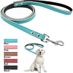 Load image into Gallery viewer, A Dog Wearing A Toggy Doggy Blue Leather Dog leash 
