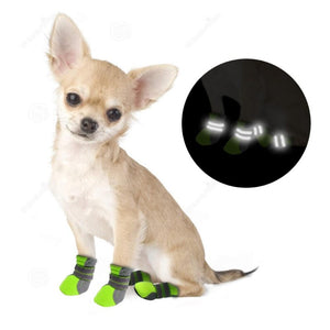A Dog Wearing The Green Indoor Walking Dog Shoes