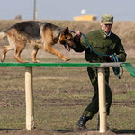Load image into Gallery viewer, A Soldier Training A Dog With The Blue-Green Long Training Dog Leash
