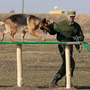 A Soldier Training A Dog With The Blue-Green Long Training Dog Leash