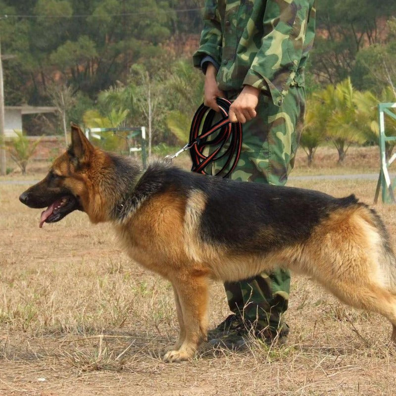A Soldier Training A Dog With The Black-Orange  Long Training Dog Leash