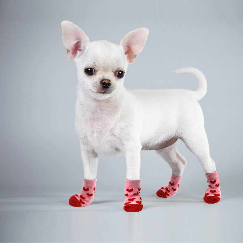 A Dog Wearing The Red Indoor Knit Dog Socks