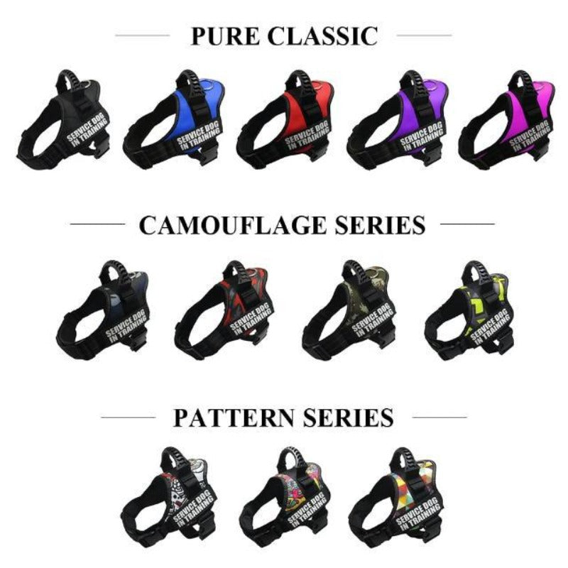 Different Colors Of The Reflective Dog Vest Harness