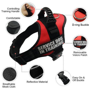 Best Features Of The Reflective Dog Vest Harness