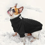 Load image into Gallery viewer, A dog wearing a  Black Classic Knit Sweater

