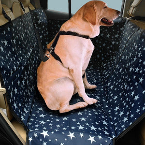 A Dog Sitting On A Blue Car Seat Back Cover Dog Mat Protector With Star Design