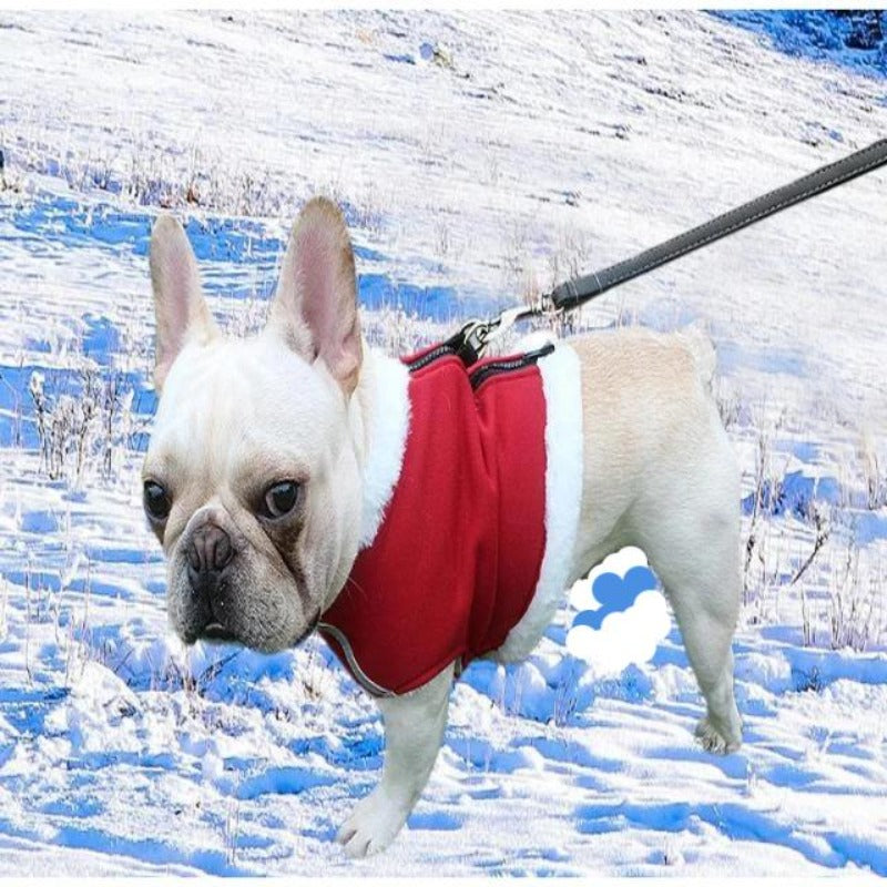 A Dog Wearing A Red Fleece Dog Harness & Leash Set