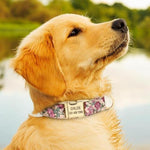 Load image into Gallery viewer, A Dog Wearing A Beige with Purple Floral Design Nylon Personalized Engraved Tag Dog Collar with Gold Plated Metal Buckle and D-Ring
