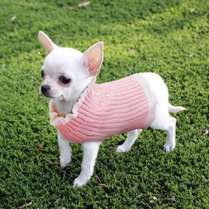 A Dog Wearing The Pearl Knitted Dog Pink Sweater