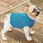 Load image into Gallery viewer, A Dog Wearing The Pearl Knitted Dog Blue-Green Sweater
