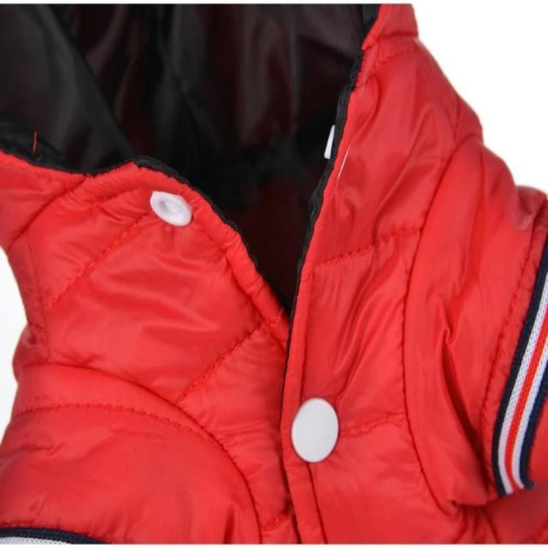 Red Outdoor Hoodie Dog Jacket
