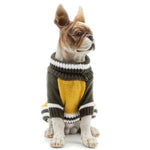 Load image into Gallery viewer, A Dog Wearing A Cool Yellow Turtleneck Dog Sweater
