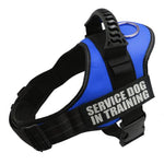 Load image into Gallery viewer, Blue Reflective Dog Vest Harness
