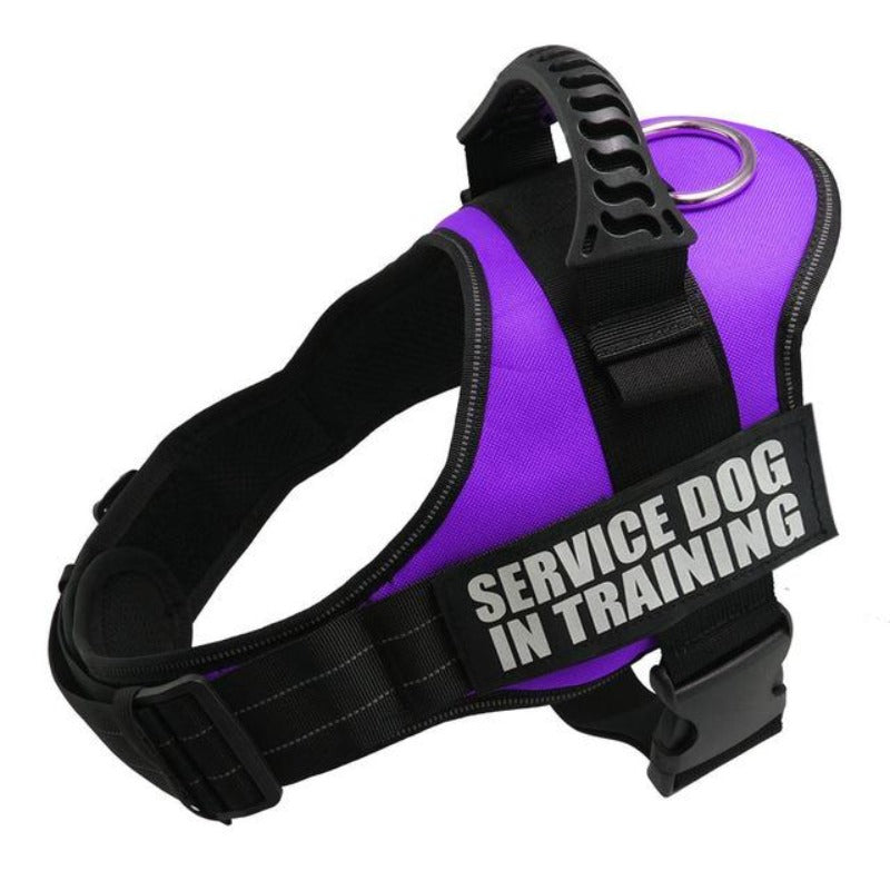 Purple Reflective Dog Vest Harness