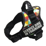 Load image into Gallery viewer, Color Grid Reflective Dog Vest Harness
