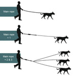 Load image into Gallery viewer, The Detachable Triple Leash with Foam Handle Can Walk 1 Up To 3 Doggies At The Same Time
