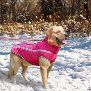 A Dog Wearing The Pink Outdoor Reflective Dog Vest