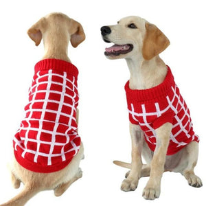 A Dog Wearing A Red/White Diamond Dog Sweater