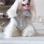 Load image into Gallery viewer, A Dog Wearing A Pearl Embellished Dog Dress, Blue 
