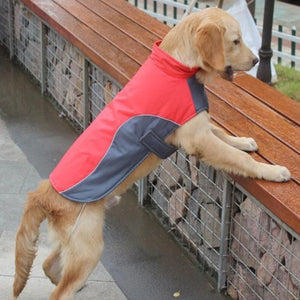 A Dog Wearing The Red Warm Reflective Dog Vest